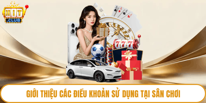 Giới thiệu các điều khoản sử dụng tại sân chơi